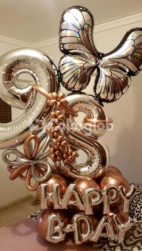 globos mariposa santo domingo